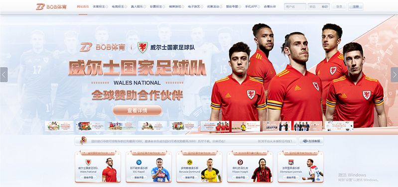 BOB体育 - 德甲多特蒙德官方合作伙伴 2 BOB体育简介
